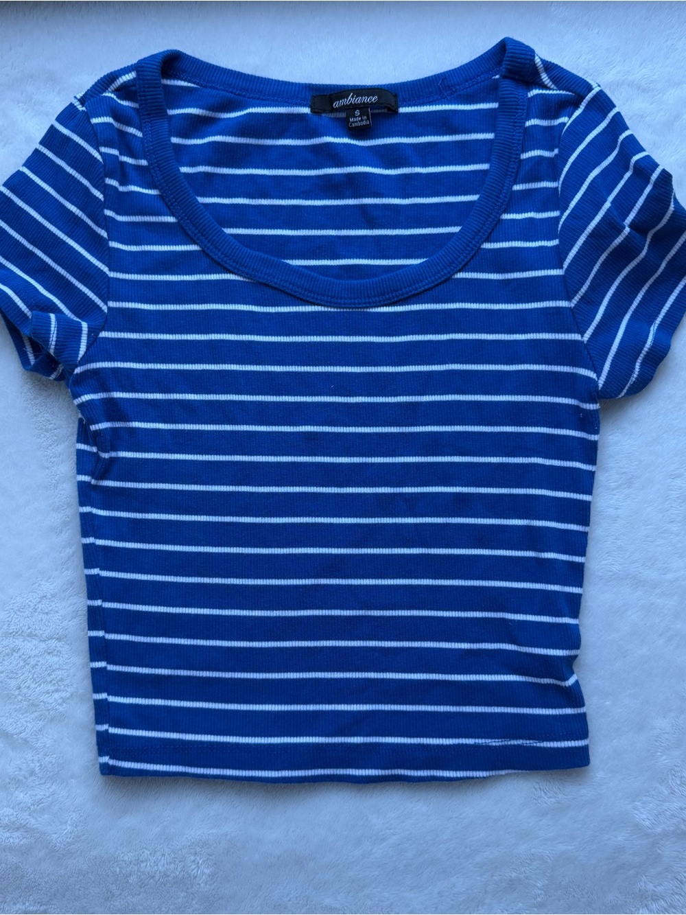 Ambiance Royal Blue & White Striped Scoop Tee
